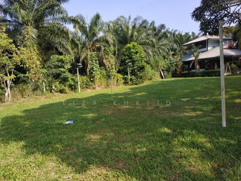Tanah Pertanian untuk Dijual di Kampung Baru Ijok (Ijok) - Liza Khalid - Exterior - PropertyGuru.com.my
