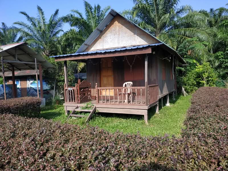 Tanah Pertanian untuk Dijual di Kampung Baru Ijok (Ijok) - Liza Khalid - Exterior - PropertyGuru.com.my