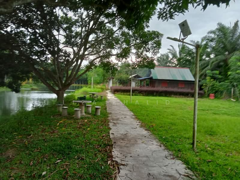 Tanah Pertanian untuk Dijual di Kampung Baru Ijok (Ijok) - Liza Khalid - Exterior - PropertyGuru.com.my