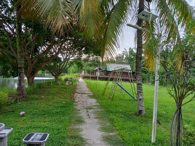 Tanah Pertanian untuk Dijual di Kampung Baru Ijok (Ijok) - Liza Khalid - Garden - PropertyGuru.com.my