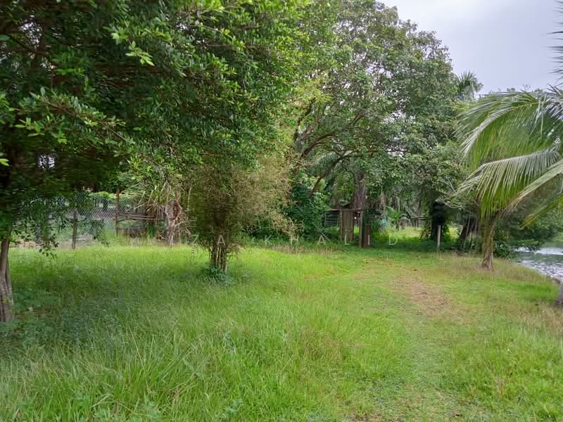 Tanah Pertanian untuk Dijual di Kampung Baru Ijok (Ijok) - Liza Khalid - Exterior - PropertyGuru.com.my