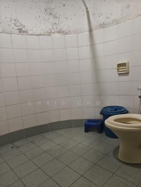 Pangsapuri untuk Dijual di Melur Apartment - Chris Choo - Bathroom - PropertyGuru.com.my