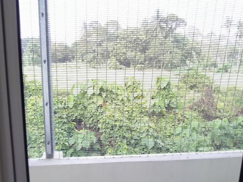 1-storey Terraced House for Rent in Beranang (Selangor) - Chong . - PropertyGuru.com.my