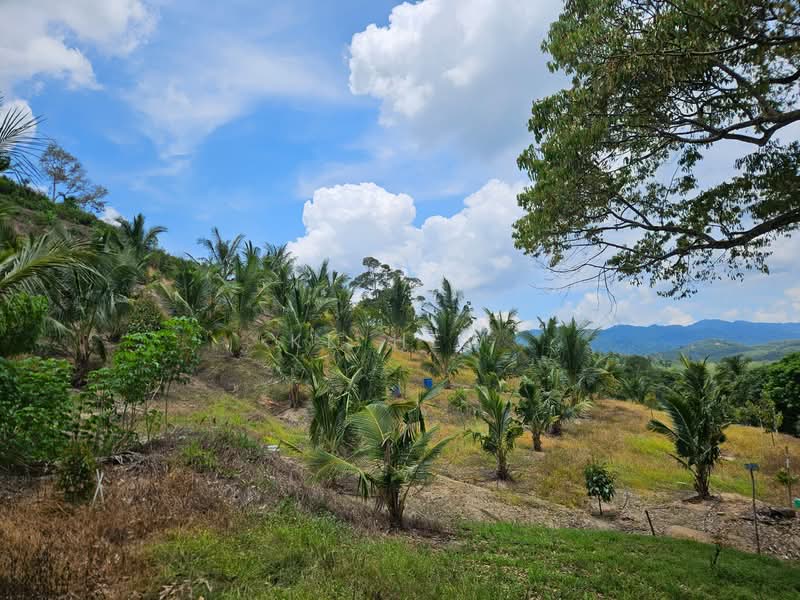 Tanah Pertanian untuk Dijual di Kuala Klawang (Negeri Sembilan) - KK HEW - Exterior - PropertyGuru.com.my