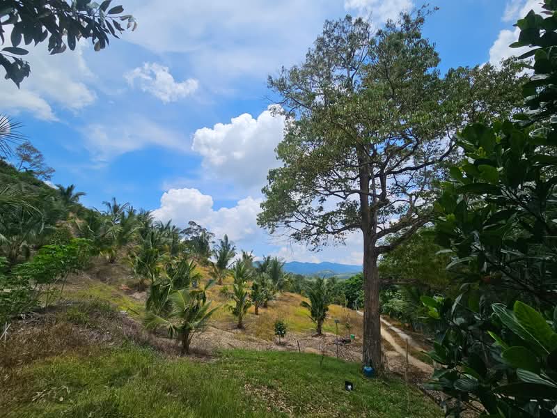 Tanah Pertanian untuk Dijual di Kuala Klawang (Negeri Sembilan) - KK HEW - Exterior - PropertyGuru.com.my