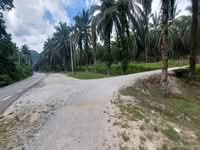 For Sale - Tanah pertanian, 20 ekar, Selama, Perak