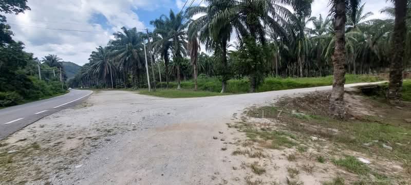 Agricultural Land for Sale in Batu Kurau (Perak) - Zihan Aziz - Exterior - PropertyGuru.com.my