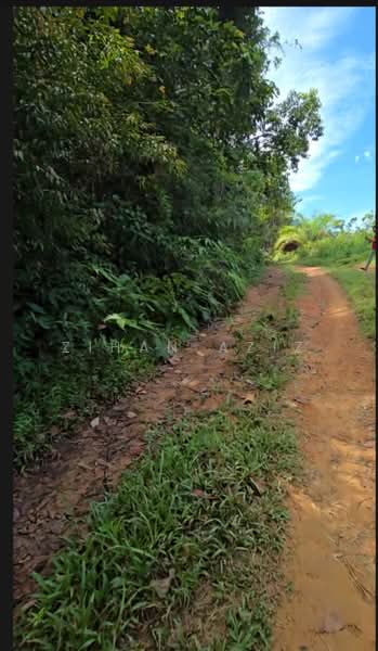 Agricultural Land for Sale in Batu Kurau (Perak) - Zihan Aziz - Exterior - PropertyGuru.com.my