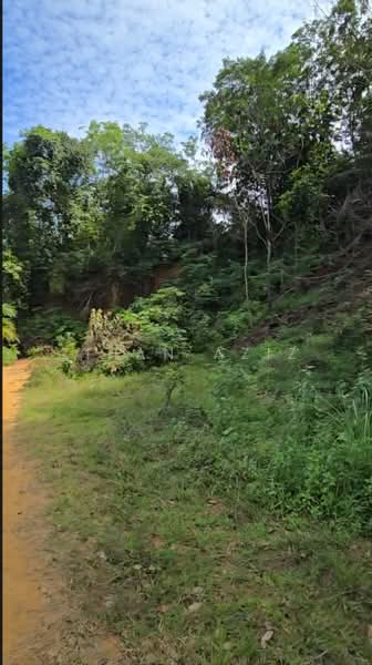 Agricultural Land for Sale in Batu Kurau (Perak) - Zihan Aziz - Exterior - PropertyGuru.com.my