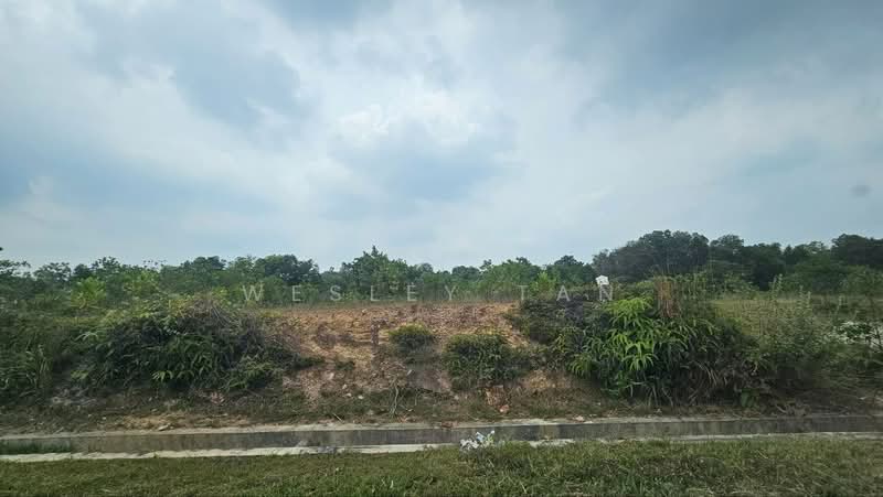 Tanah Perindustrian untuk Dijual di Taman Perindustrian Tanjong Minyak Perdana (Tanjong Minyak) - Wesley Tan - Exterior - PropertyGuru.com.my