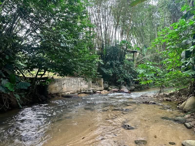 Agricultural Land for Sale in Janda Baik (Bentong) - Mohammad Omar - PropertyGuru.com.my