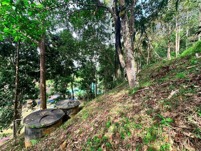 Agricultural Land for Sale in Janda Baik (Bentong) - Mohammad Omar - PropertyGuru.com.my