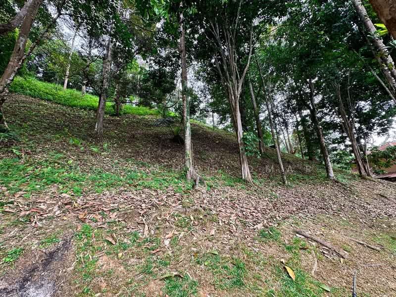 Agricultural Land for Sale in Janda Baik (Bentong) - Mohammad Omar - PropertyGuru.com.my