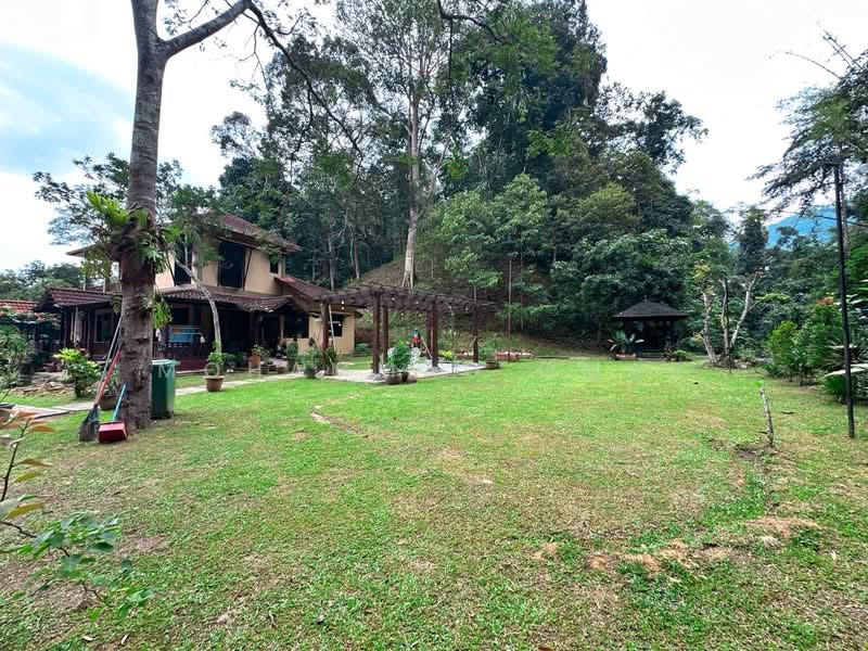 Agricultural Land for Sale in Janda Baik (Bentong) - Mohammad Omar - PropertyGuru.com.my