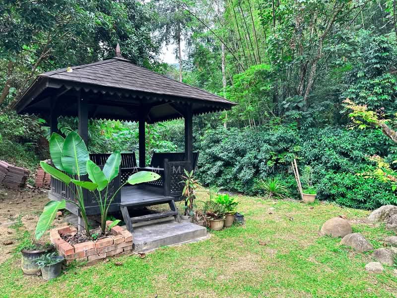 Agricultural Land for Sale in Janda Baik (Bentong) - Mohammad Omar - PropertyGuru.com.my