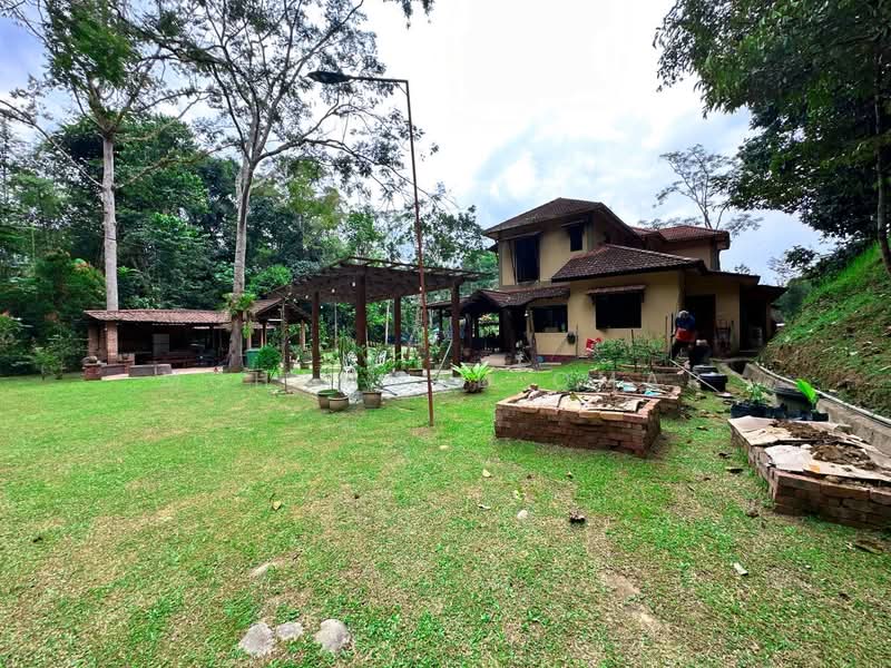 Agricultural Land for Sale in Janda Baik (Bentong) - Mohammad Omar - PropertyGuru.com.my