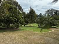 For Sale - Freehold Orchard Hulu Yam @ Batang Kali