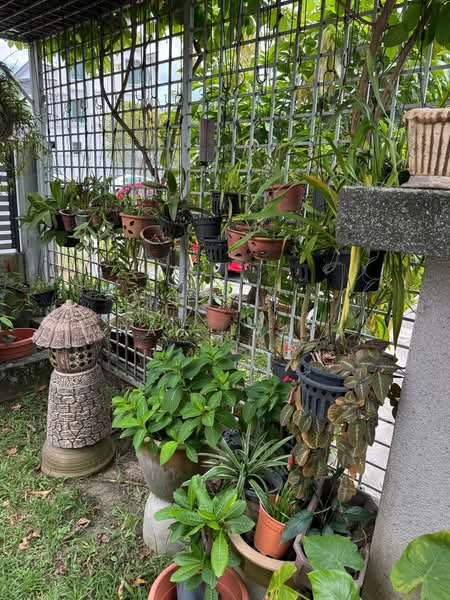 Rumah Berkembar untuk Dijual di Seksyen 27 (Shah Alam) - Imran Jaafar - Garden - PropertyGuru.com.my