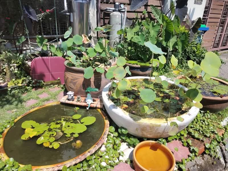 2-storey Terraced House for Sale in Bandar Puteri Puchong (Puchong) - Joyce Hoo - Garden - PropertyGuru.com.my