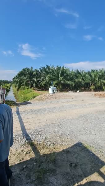 Agricultural Land for Sale in Teluk Panglima Garang (Banting) - John Wee - Exterior - PropertyGuru.com.my