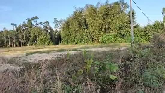 Tanah Kediaman untuk Dijual di Melor (Kelantan) - Haslina Ismail - PropertyGuru.com.my