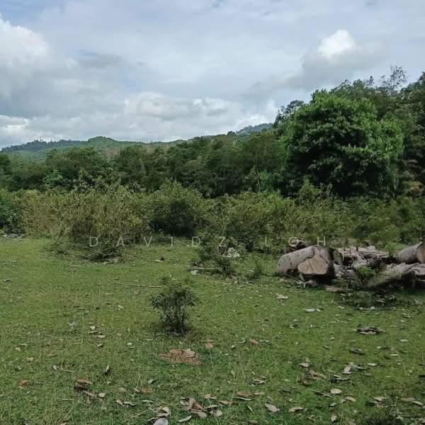 Agricultural Land for Sale in Kulim (Kedah) - Davidz Loh - Exterior - PropertyGuru.com.my