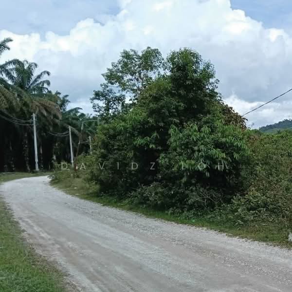 Agricultural Land for Sale in Kulim (Kedah) - Davidz Loh - Exterior - PropertyGuru.com.my
