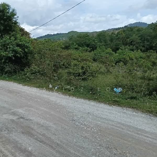 Agricultural Land for Sale in Kulim (Kedah) - Davidz Loh - Exterior - PropertyGuru.com.my