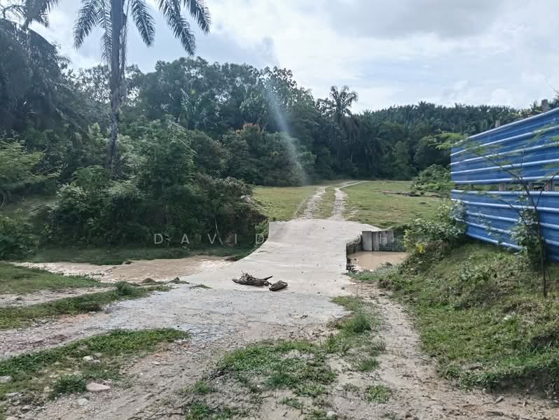Agricultural Land for Sale in Kulim (Kedah) - Davidz Loh - Exterior - PropertyGuru.com.my