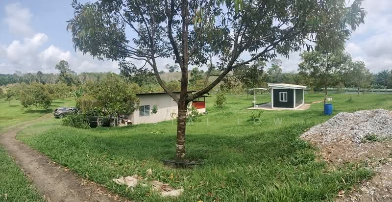 Agricultural Land for Sale in Raub (Pahang) - Crystal Low - Exterior - PropertyGuru.com.my