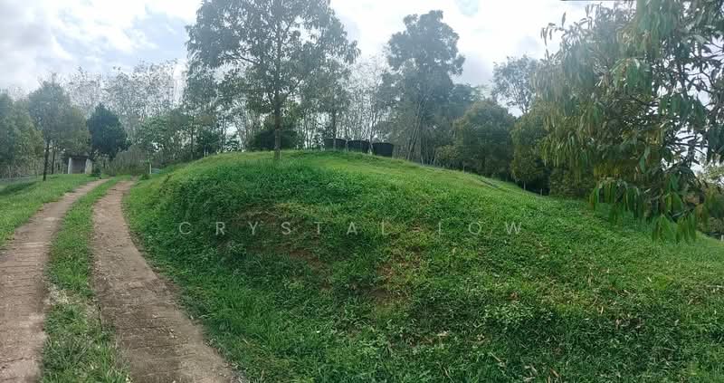 Agricultural Land for Sale in Raub (Pahang) - Crystal Low - Exterior - PropertyGuru.com.my