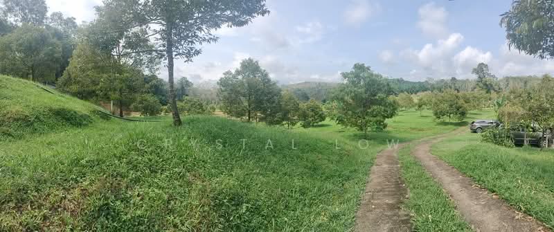 Agricultural Land for Sale in Raub (Pahang) - Crystal Low - Garden - PropertyGuru.com.my
