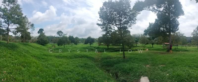 Agricultural Land for Sale in Raub (Pahang) - Crystal Low - PropertyGuru.com.my