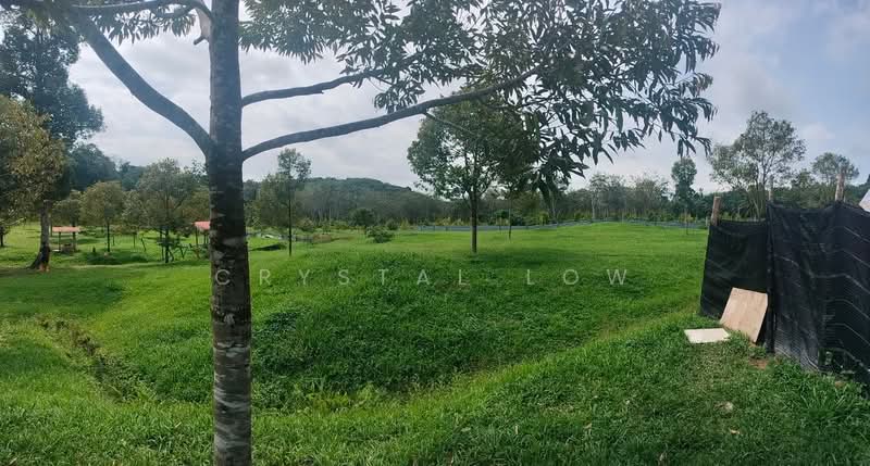 Agricultural Land for Sale in Raub (Pahang) - Crystal Low - PropertyGuru.com.my
