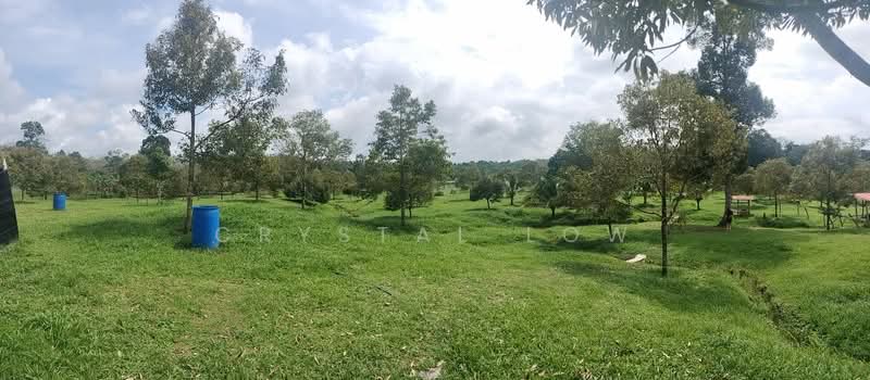 Agricultural Land for Sale in Raub (Pahang) - Crystal Low - PropertyGuru.com.my