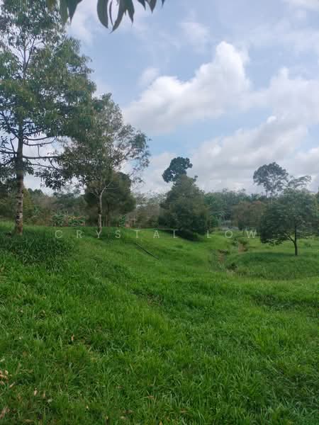 Agricultural Land for Sale in Raub (Pahang) - Crystal Low - PropertyGuru.com.my