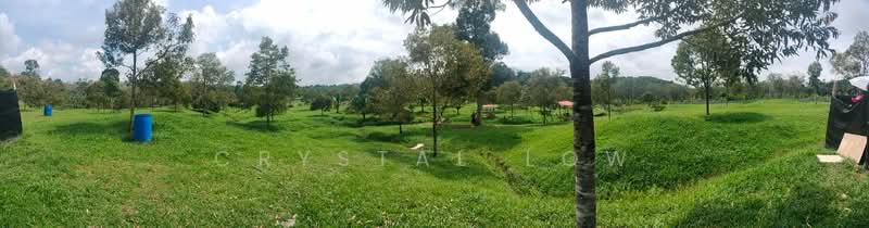 Agricultural Land for Sale in Raub (Pahang) - Crystal Low - PropertyGuru.com.my