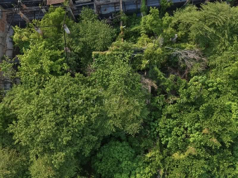 Commercial Land for Sale in George Town (Penang) - Desmond Chuah - PropertyGuru.com.my
