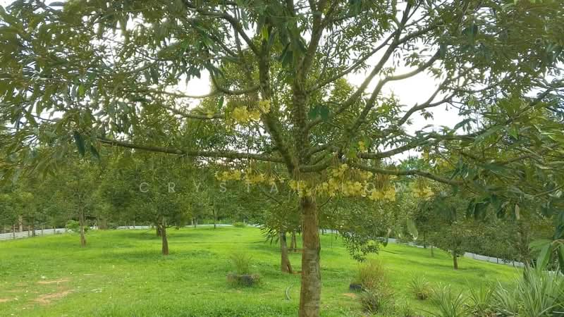 Agricultural Land for Sale in Raub (Pahang) - Crystal Low - Garden - PropertyGuru.com.my