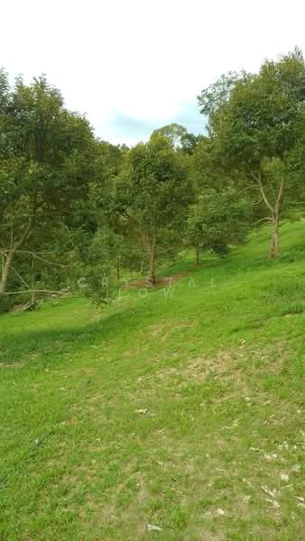 Agricultural Land for Sale in Raub (Pahang) - Crystal Low - Garden - PropertyGuru.com.my