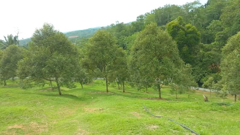 Agricultural Land for Sale in Raub (Pahang) - Crystal Low - Garden - PropertyGuru.com.my