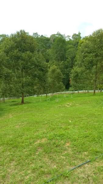 Agricultural Land for Sale in Raub (Pahang) - Crystal Low - Garden - PropertyGuru.com.my