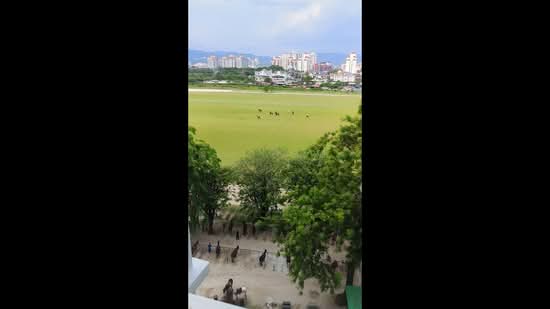 Kondominium untuk Disewa di Mutiara Upper East - Simone Ngo - PropertyGuru.com.my