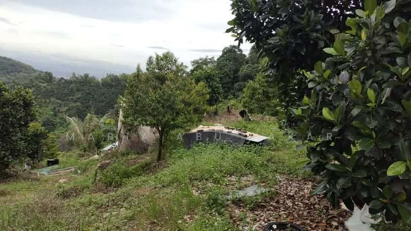 Tanah Pertanian untuk Dijual di Setul (Negeri Sembilan) - Maria Abu Bakar - Exterior - PropertyGuru.com.my
