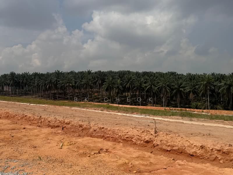 Industrial Land for Sale in Skudai (Johor) - BK Cheok - Exterior - PropertyGuru.com.my