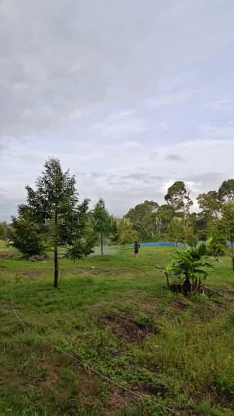 Tanah Pertanian untuk Dijual di Alor Gajah (Melaka) - Kelvin Ng - Exterior - PropertyGuru.com.my