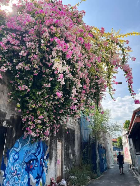 Shop for Rent in George Town (Penang) - HK Ang - Exterior - PropertyGuru.com.my