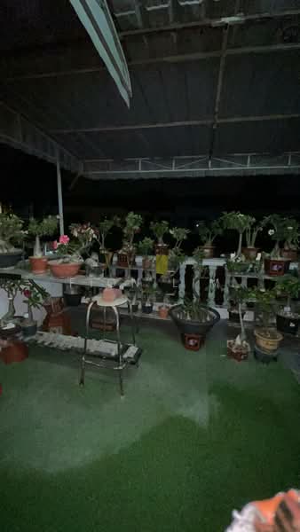 Rumah Teres 2 Tingkat untuk Dijual di Permas Jaya (Johor) - Fion Lim - Exterior - PropertyGuru.com.my