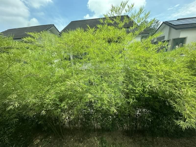 Semi-Detached House for Rent in Iskandar Puteri (Nusajaya) (Johor) - Rain Ng - Exterior - PropertyGuru.com.my