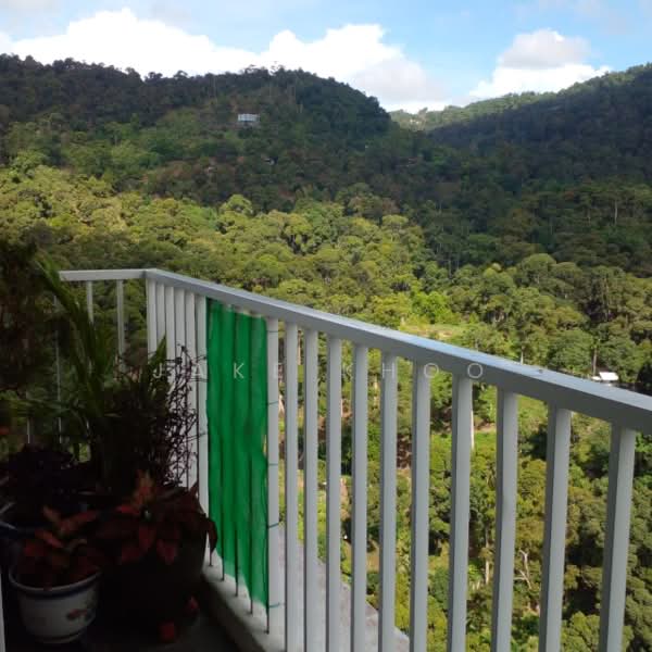 Condominium for Sale at Setia Pinnacle - Jake Khoo - View - PropertyGuru.com.my